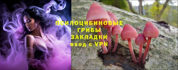 гидра Абинск