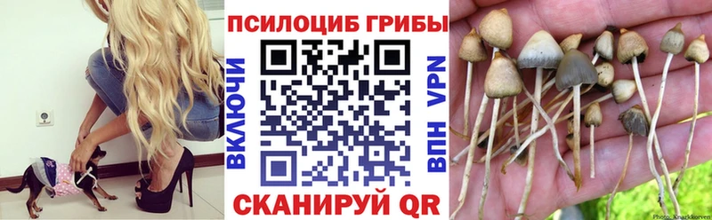 Галлюциногенные грибы GOLDEN TEACHER  Арсеньев 